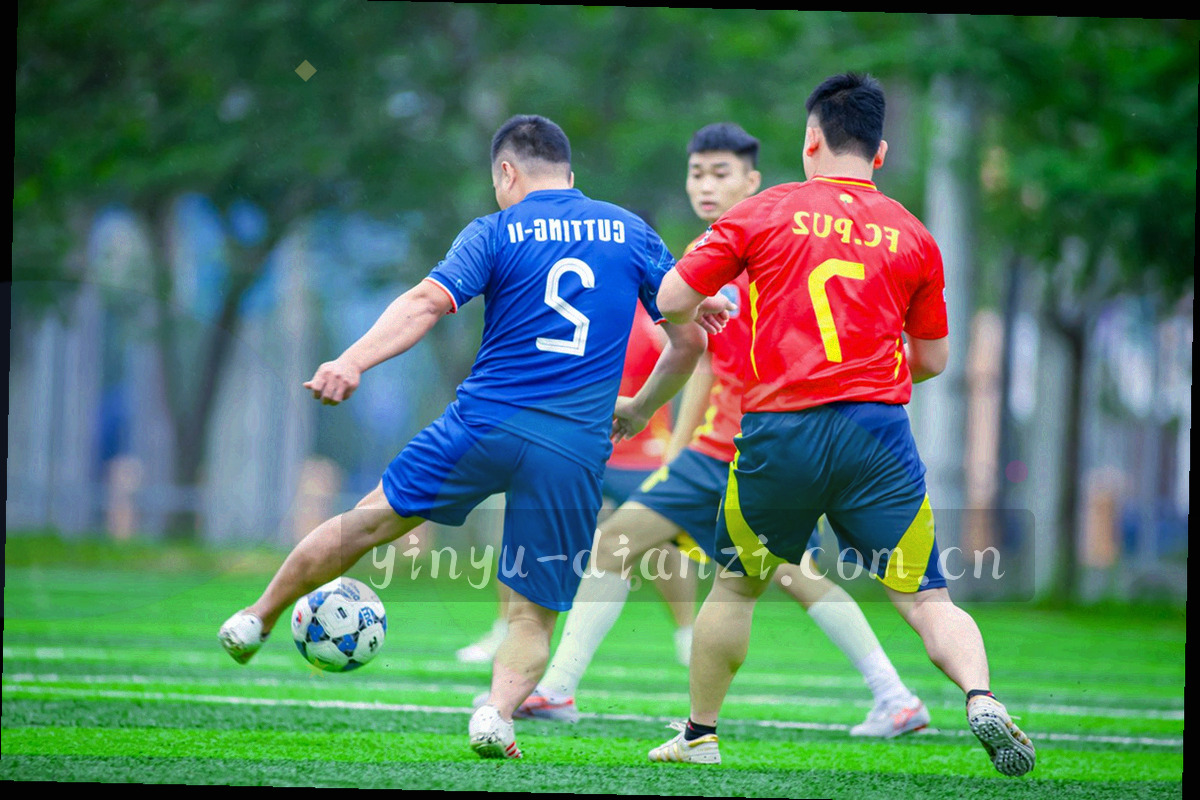 三种不同密度的目录卡片组合并排，表现个人用户、内容团队与企业客户在搭配上的差异